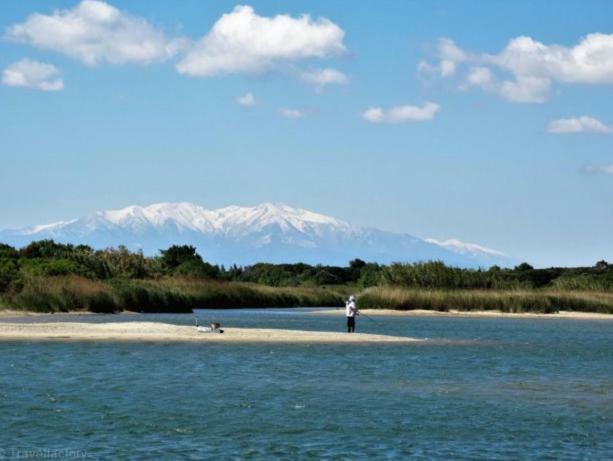 Apartmán Coquet Studio A 150M De La Plage Le Barcarès Exteriér fotografie